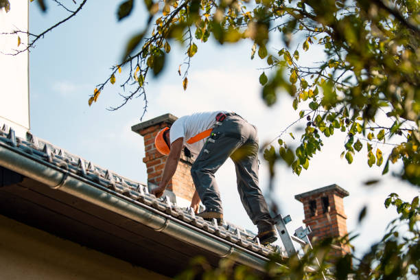 Best Roof Insulation Installation  in New Knoxville, OH