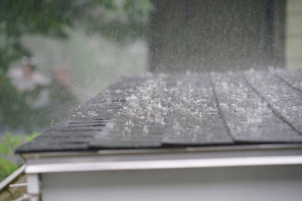 Best Skylight Installation and Repair  in New Knoxville, OH